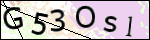 Human Confirmation Code (Captcha)