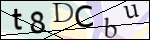 Human Confirmation Code (Captcha)