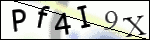 Human Confirmation Code (Captcha)