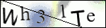 Human Confirmation Code (Captcha)