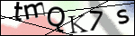 Human Confirmation Code (Captcha)
