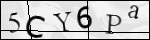Human Confirmation Code (Captcha)