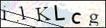 Human Confirmation Code (Captcha)
