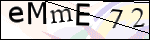 Human Confirmation Code (Captcha)