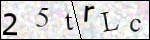 Human Confirmation Code (Captcha)