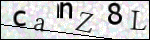 Human Confirmation Code (Captcha)