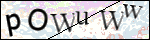 Human Confirmation Code (Captcha)
