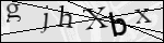 Human Confirmation Code (Captcha)
