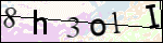 Human Confirmation Code (Captcha)