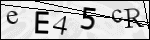 Human Confirmation Code (Captcha)