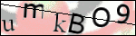 Human Confirmation Code (Captcha)