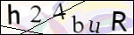 Human Confirmation Code (Captcha)