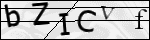 Human Confirmation Code (Captcha)