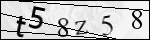 Human Confirmation Code (Captcha)