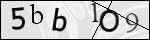 Human Confirmation Code (Captcha)