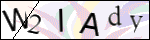 Human Confirmation Code (Captcha)