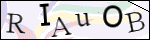 Human Confirmation Code (Captcha)