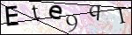Human Confirmation Code (Captcha)