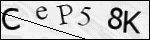 Human Confirmation Code (Captcha)