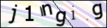 Human Confirmation Code (Captcha)