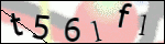 Human Confirmation Code (Captcha)