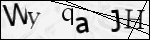 Human Confirmation Code (Captcha)