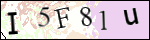 Human Confirmation Code (Captcha)