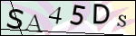 Human Confirmation Code (Captcha)