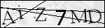 Human Confirmation Code (Captcha)