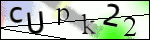 Human Confirmation Code (Captcha)