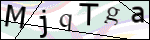 Human Confirmation Code (Captcha)