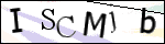 Human Confirmation Code (Captcha)