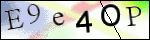 Human Confirmation Code (Captcha)