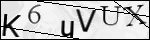 Human Confirmation Code (Captcha)