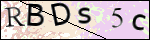 Human Confirmation Code (Captcha)