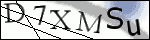 Human Confirmation Code (Captcha)