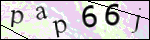 Human Confirmation Code (Captcha)