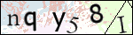 Human Confirmation Code (Captcha)
