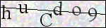 Human Confirmation Code (Captcha)