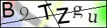 Human Confirmation Code (Captcha)