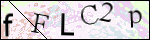 Human Confirmation Code (Captcha)