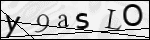 Human Confirmation Code (Captcha)