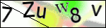 Human Confirmation Code (Captcha)