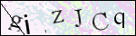 Human Confirmation Code (Captcha)
