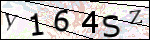 Human Confirmation Code (Captcha)