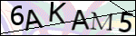 Human Confirmation Code (Captcha)