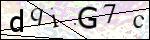 Human Confirmation Code (Captcha)