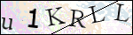Human Confirmation Code (Captcha)