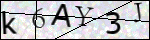 Human Confirmation Code (Captcha)
