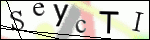 Human Confirmation Code (Captcha)